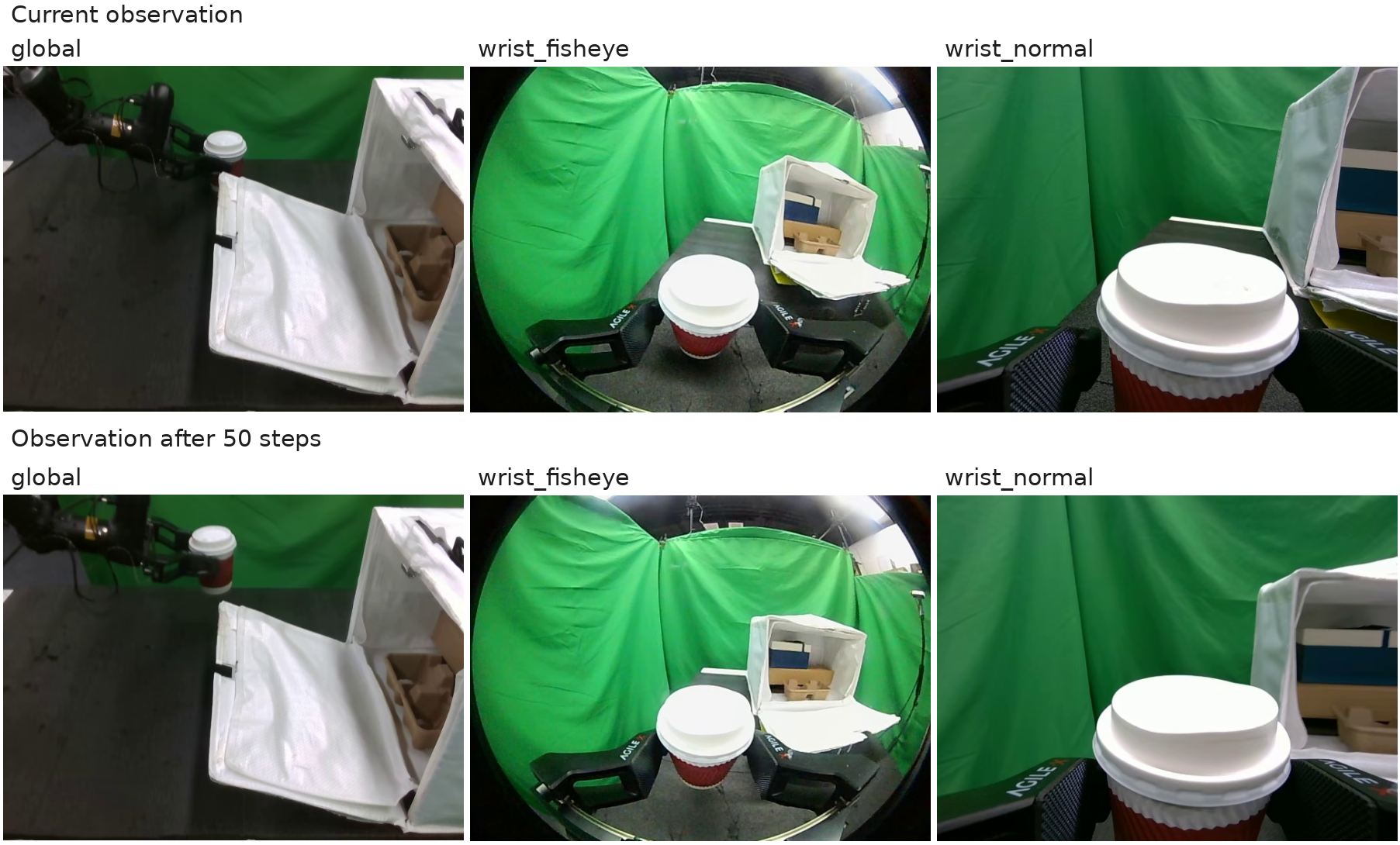 Cup grasping observations.